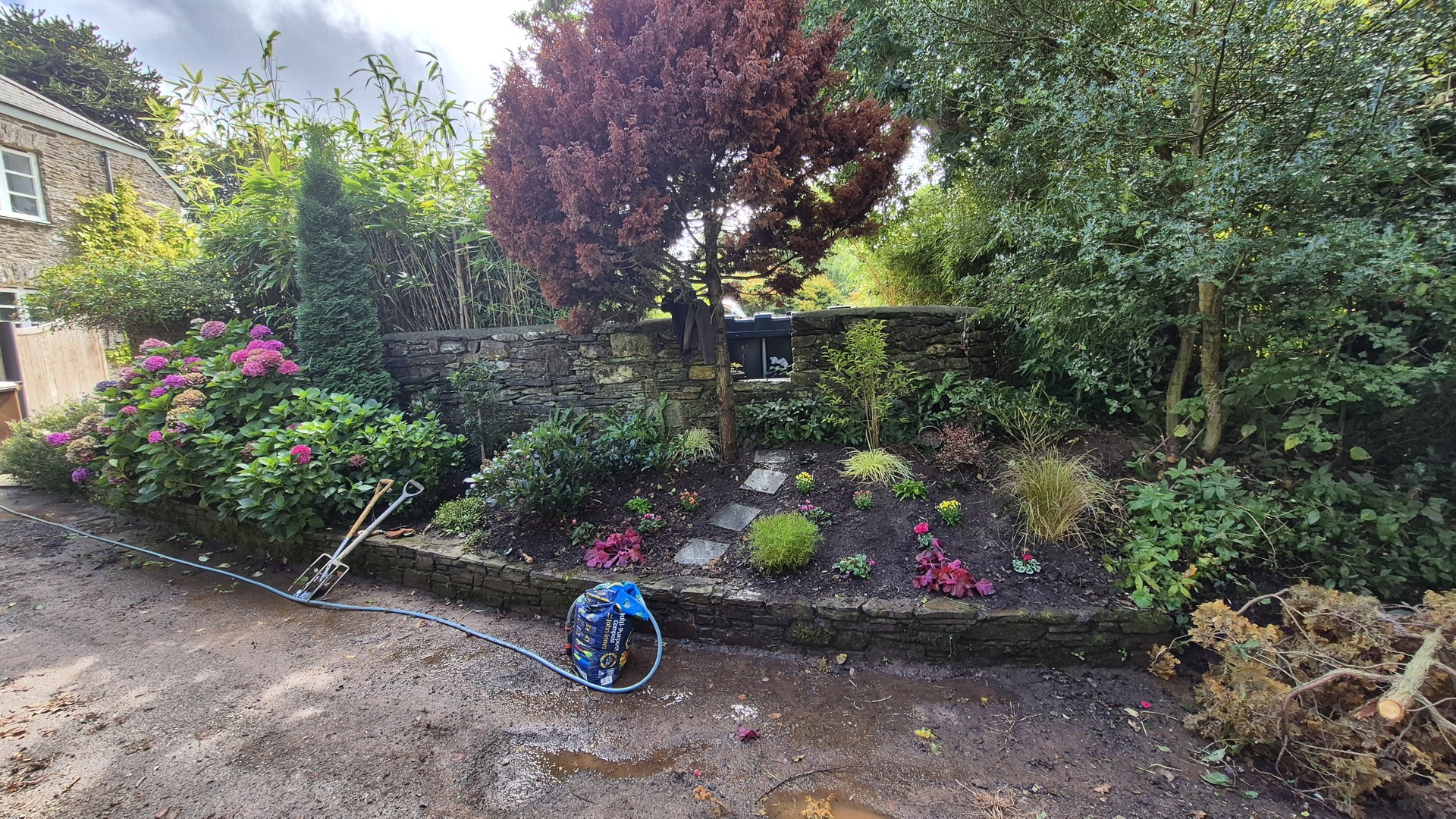 Fresh border planting in Devon