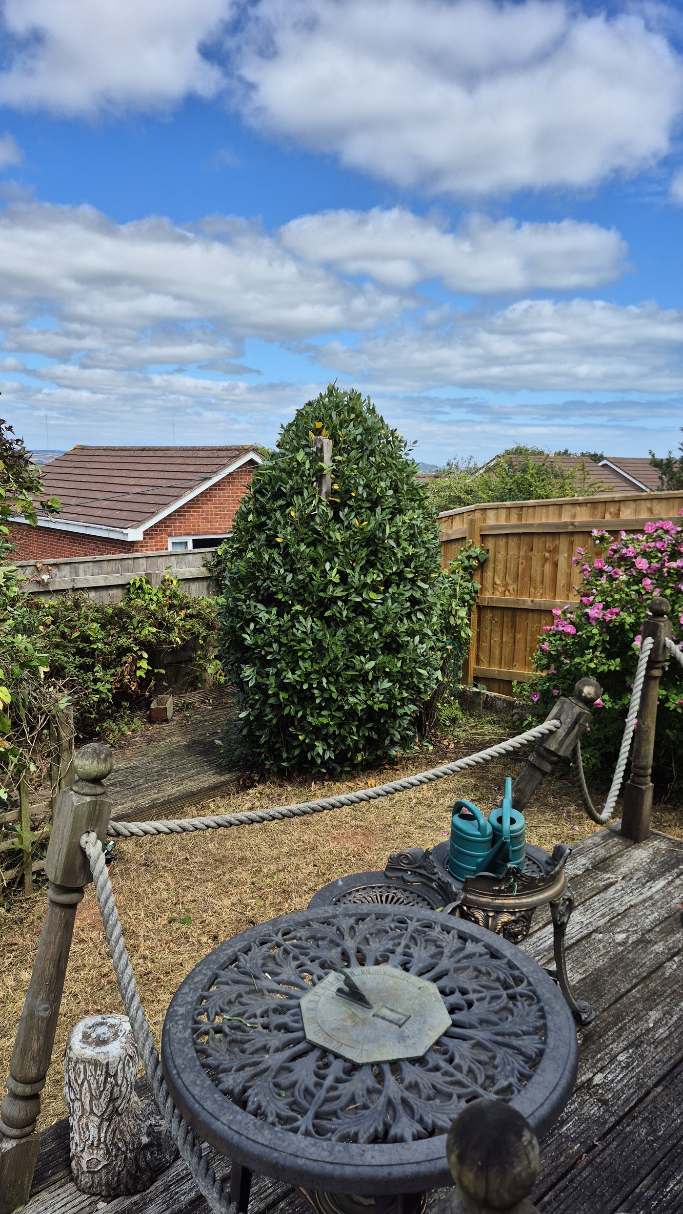 Garden view from decking after clearance with shaped bay tree and flowers