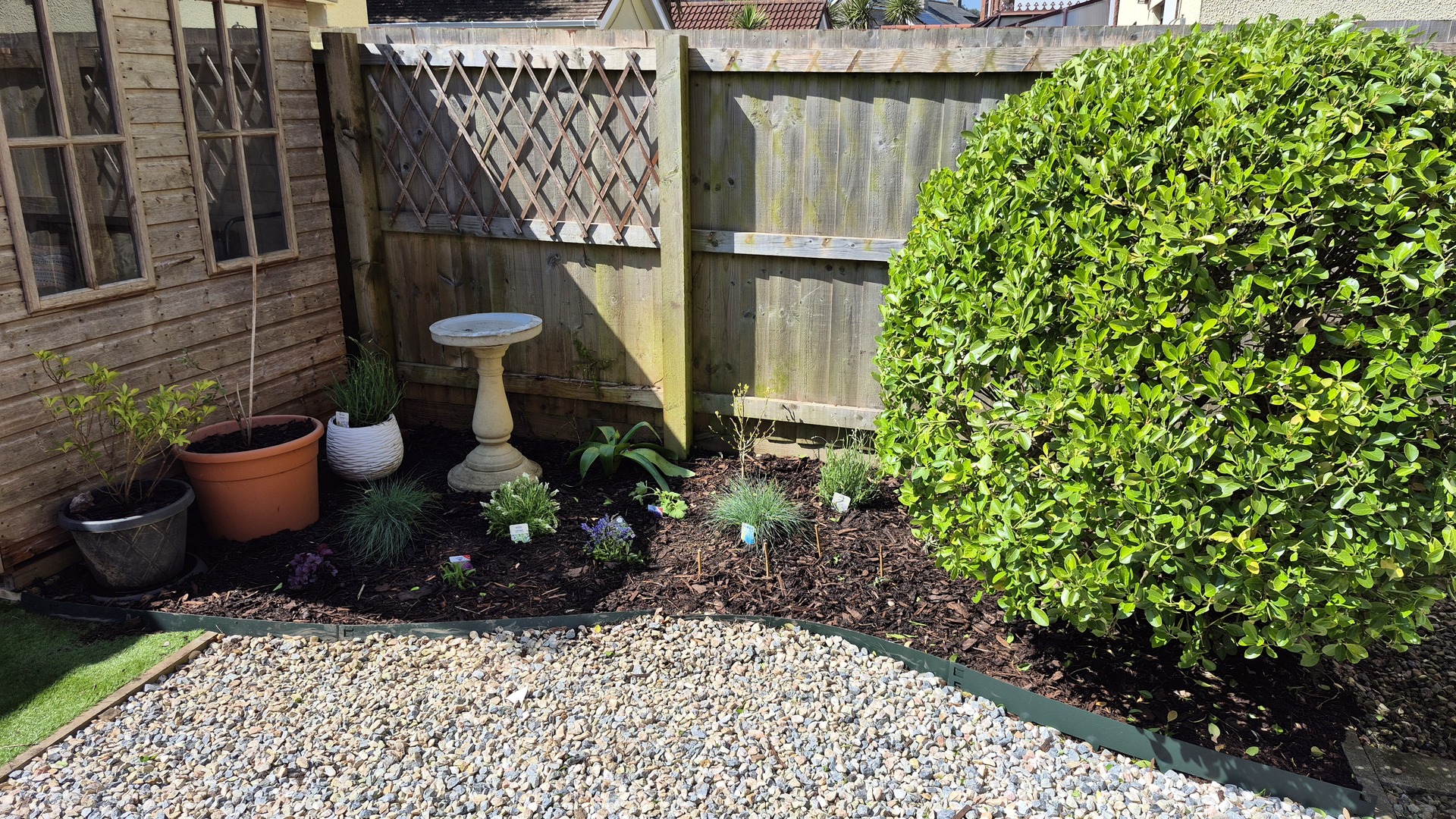 Garden bed with new planting