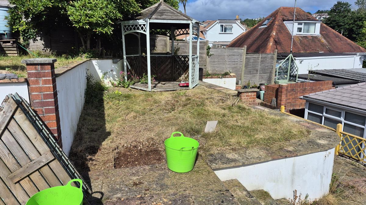 Tired lawn garden before transformation