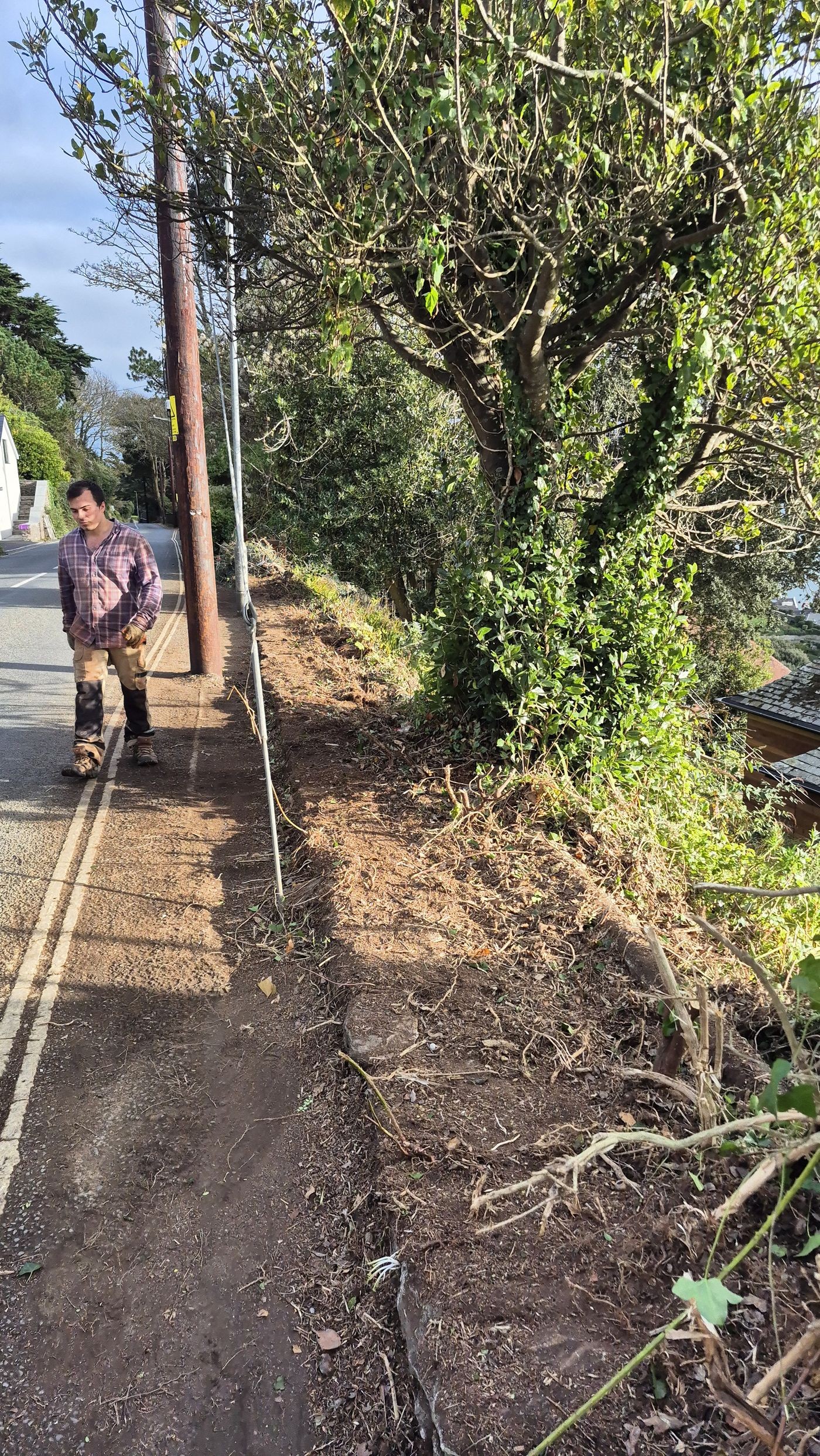 Close-up of the cleared bank with bare earth and exposed stone wall