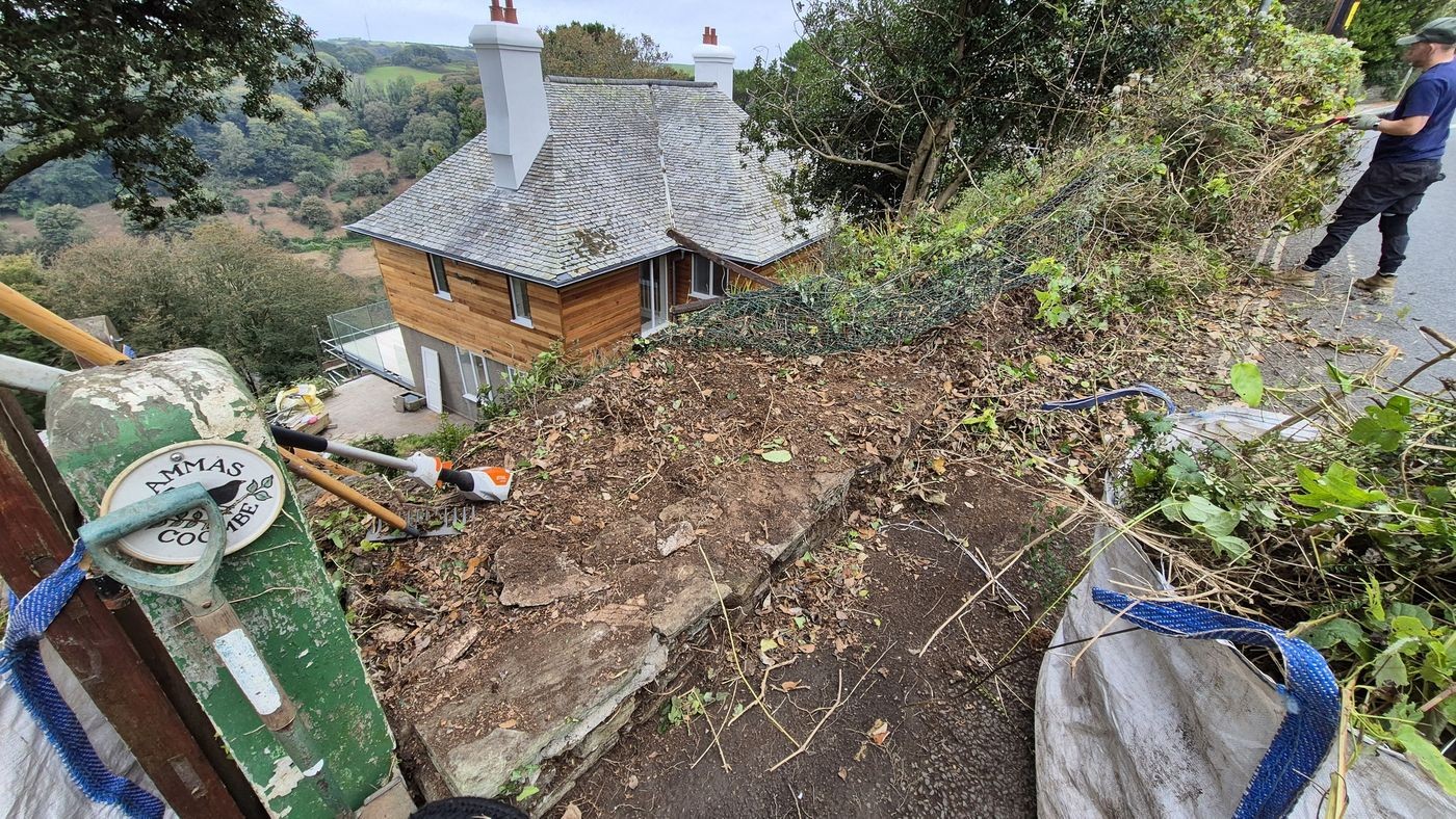Hedge fully cleared revealing stone wall and bare earth bank
