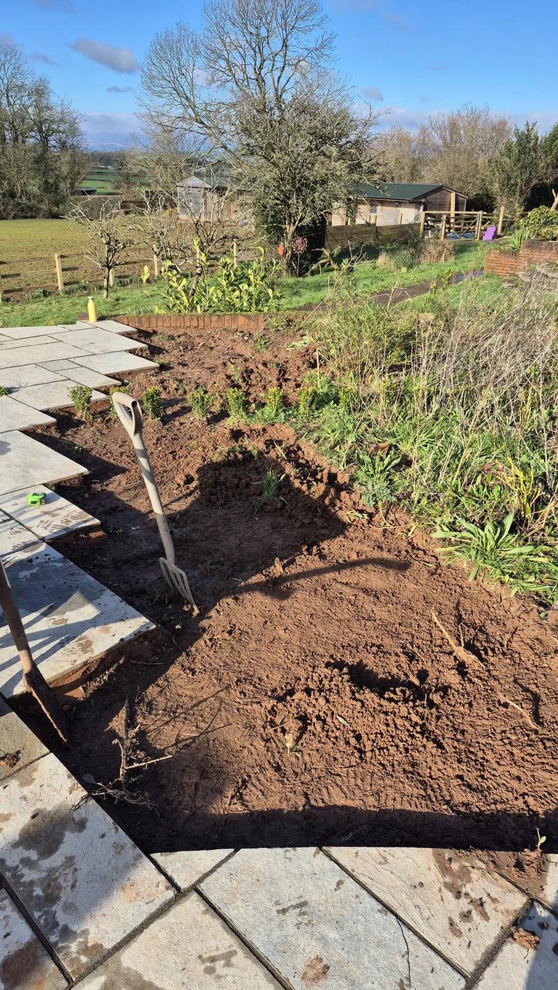 Borders cleared and soil prepared