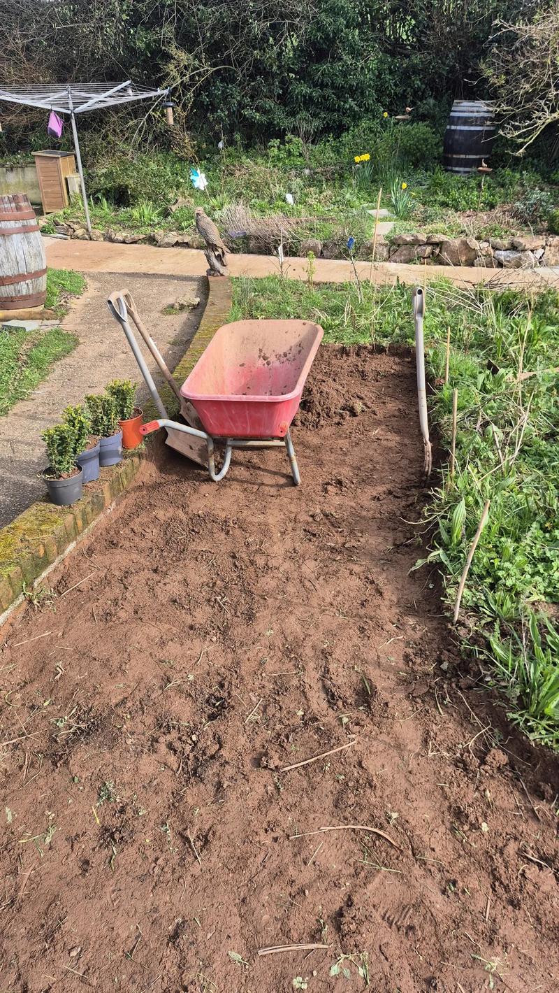 Path preparation with wheelbarrow and tools