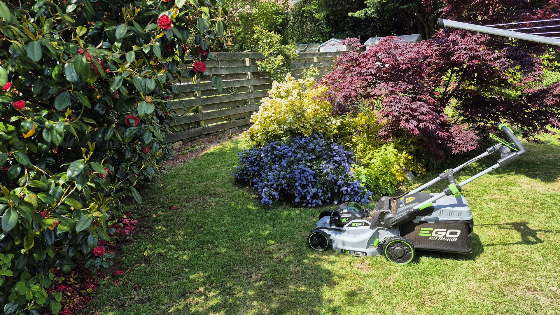 Lawn mowing Torbay