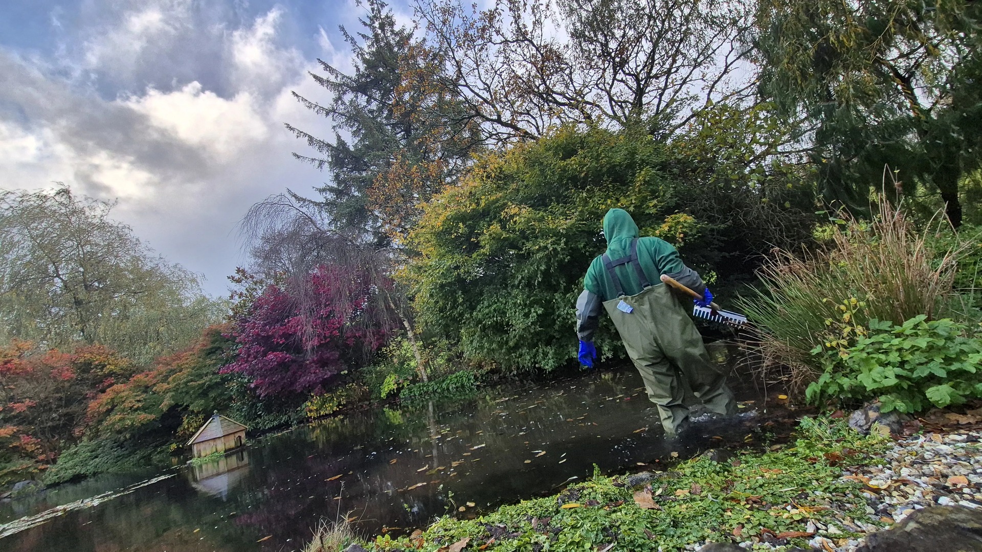 Pond cleaning Devon