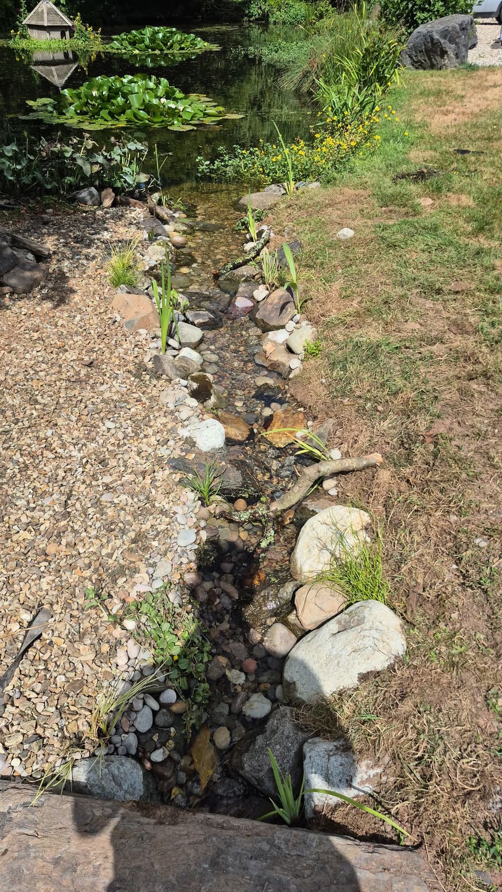 A shallow shingle beach and marginal planting where a rill meets the water