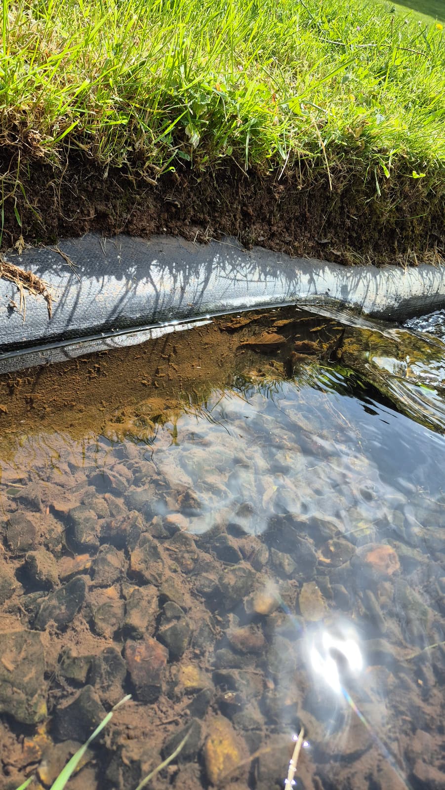 A perished pond liner and a bank undercut by escaping water