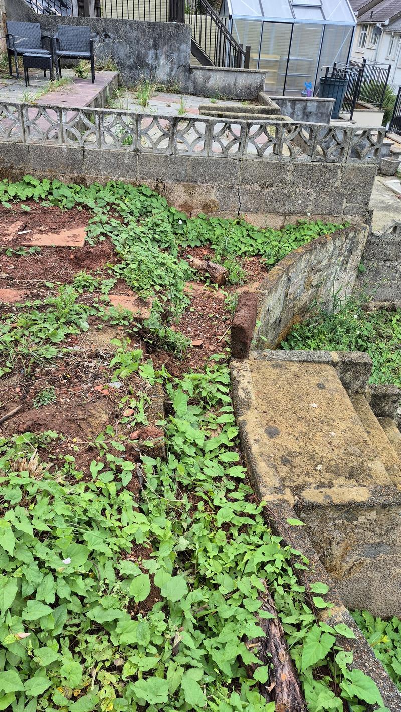 Lower terrace overgrown and neglected