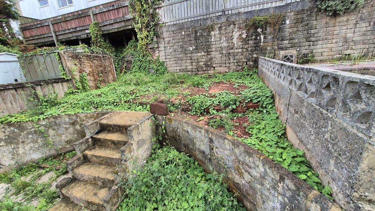 Overgrown terraced garden